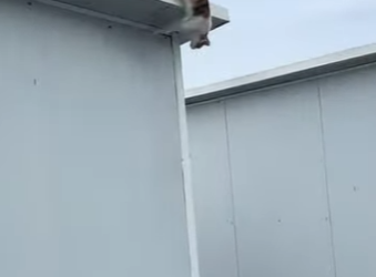 A3112012 Un nuevo comienzo empieza aquí (Parte 2)