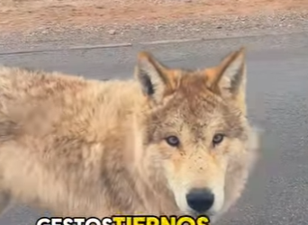 A3112024 De la oscuridad a la luz (Parte 2)