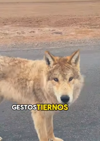 A3112024 De la oscuridad a la luz (Parte 2)