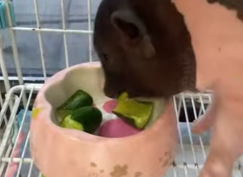 A3112007 La esperanza comienza con compasión.