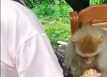 A3112021 Otra oportunidad para ser feliz (Parte 2)