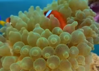 A3112030 Un futuro lleno de cuidado (Parte 2)