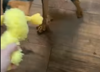 A3112015 No más sufrimiento, solo cuidado (Parte 2)