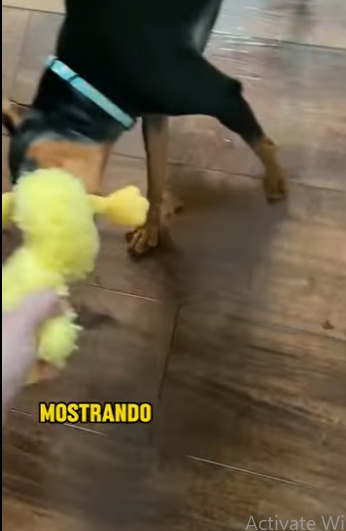 A3112015 No más sufrimiento, solo cuidado (Parte 2)