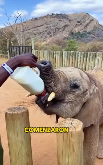 A3112011 El miedo desaparece cuando llega el amor.