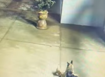 A3112023 Del peligro a brazos cálidos (Parte 2)