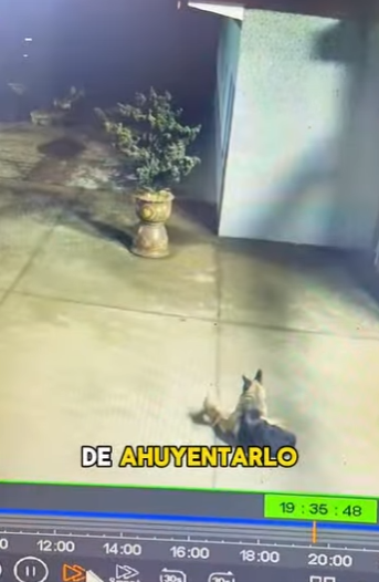 A3112023 Del peligro a brazos cálidos (Parte 2)