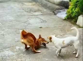 A3112018 A salvo esta noche gracias a alguien (Parte 2)