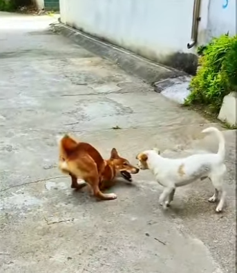 A3112018 A salvo esta noche gracias a alguien (Parte 2)