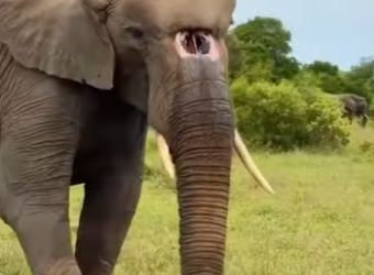 A3112003 El amor llegó justo a tiempo (Parte 2)