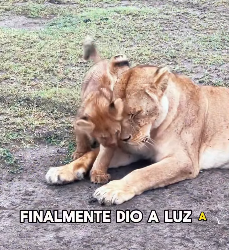 A3112027 La bondad salvó esta vida (Parte 2)