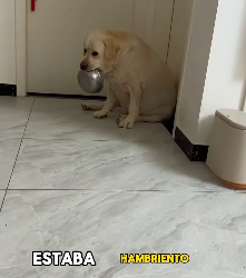 A3112028 Un momento valiente de rescate (Parte 2)