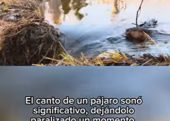 E3112006 Preparándose para El Invierno, La inteligencia de Eli Hablamo (Parte 2)