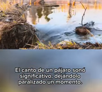 E3112006 Preparándose para El Invierno, La inteligencia de Eli Hablamo (Parte 2)