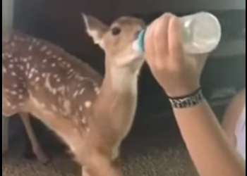 L3112007 Esperanza recuperada (Parte 2)