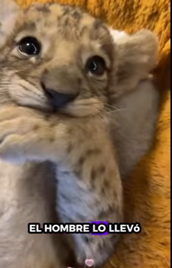 L3112005 Milagro de amor (Parte 2)