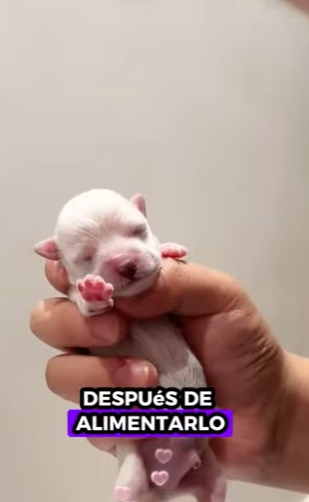 L3112010 Amor en acción (Parte 2)