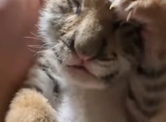 L3112004 Ahora está a salvo (Parte 2)