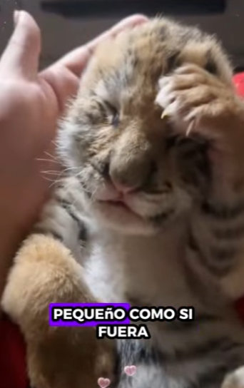 L3112004 Ahora está a salvo (Parte 2)