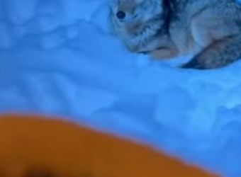 L3112011 Del miedo a salvo (Parte 2)