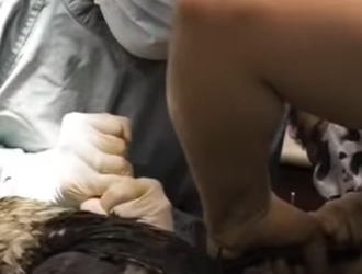 L3112001 Vida salvada hoy (Parte 2)