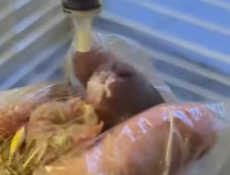 L3112008 Una vida importa (Parte 2)