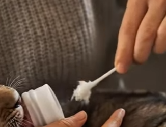 L3112012 Salvado por bondad (Parte 2)