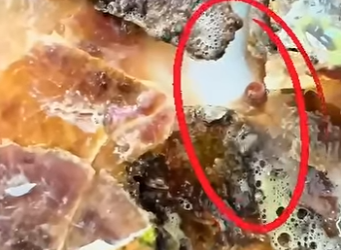 G3412010 TURTLE HOSPITAL al RESCATE (Parte 2)