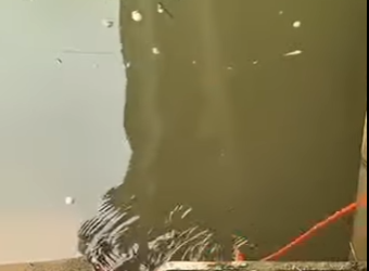 U3412008 Caiu no rio quase não sobrevive mas foi salvo tempo! (Parte 2)