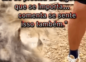 pobre cãozinho com fome (Parte 2)