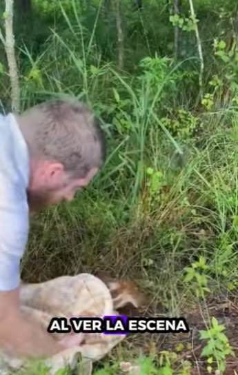 A6712008 Rescate de ciervos(Parte 2)