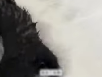 R6712004 Sable de rescate (Parte 2)