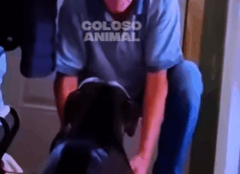 Su Perro No Lo Reconoció Tras Años De Ausencia Your Dog Didn (Parte 2)