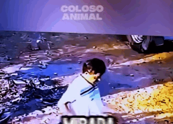 El Firulai Que Pasó De Cariñoso Peligroso Firulai Who Went (Parte 2)