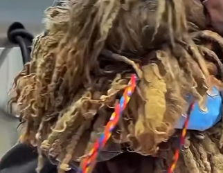 U1467010_Ele nunca conheceu que cuidado (Parte 2)