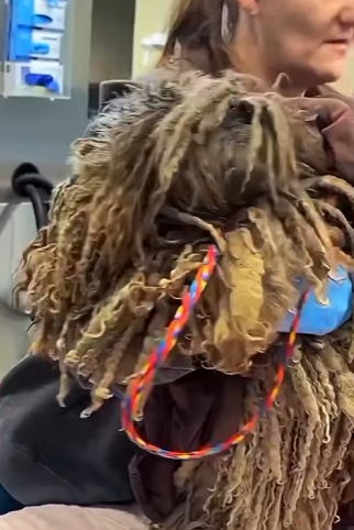 U1467010_Ele nunca conheceu que cuidado (Parte 2)