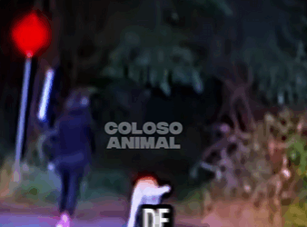 Lo Llevó Lejos Solo Para Abandonarlo Sin Remordimiento He Took Hi (Parte 2)