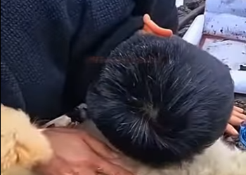 U0810005 Ela foi abandonada no lixão com seus filhotes (Parte 2)