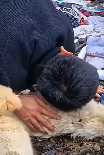 U0810005 Ela foi abandonada no lixão com seus filhotes (Parte 2)