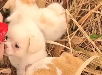 M5612001 Saving one changes everything (Part 2)