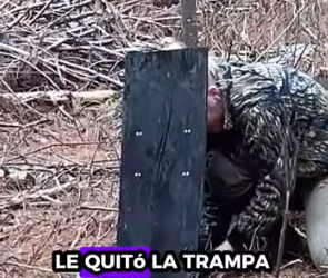 A0812003 Lince de rescate(Parte 2)