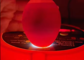 R0901002 Rescatando el huevo extraño (Parte 2)