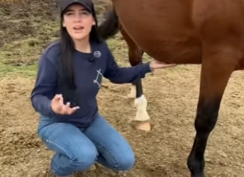 A0801007 Seguro, cálido y amado. (Parte 2)