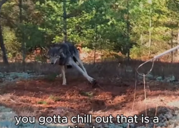 I0501008 Fear fades when love appears. (Part 2)