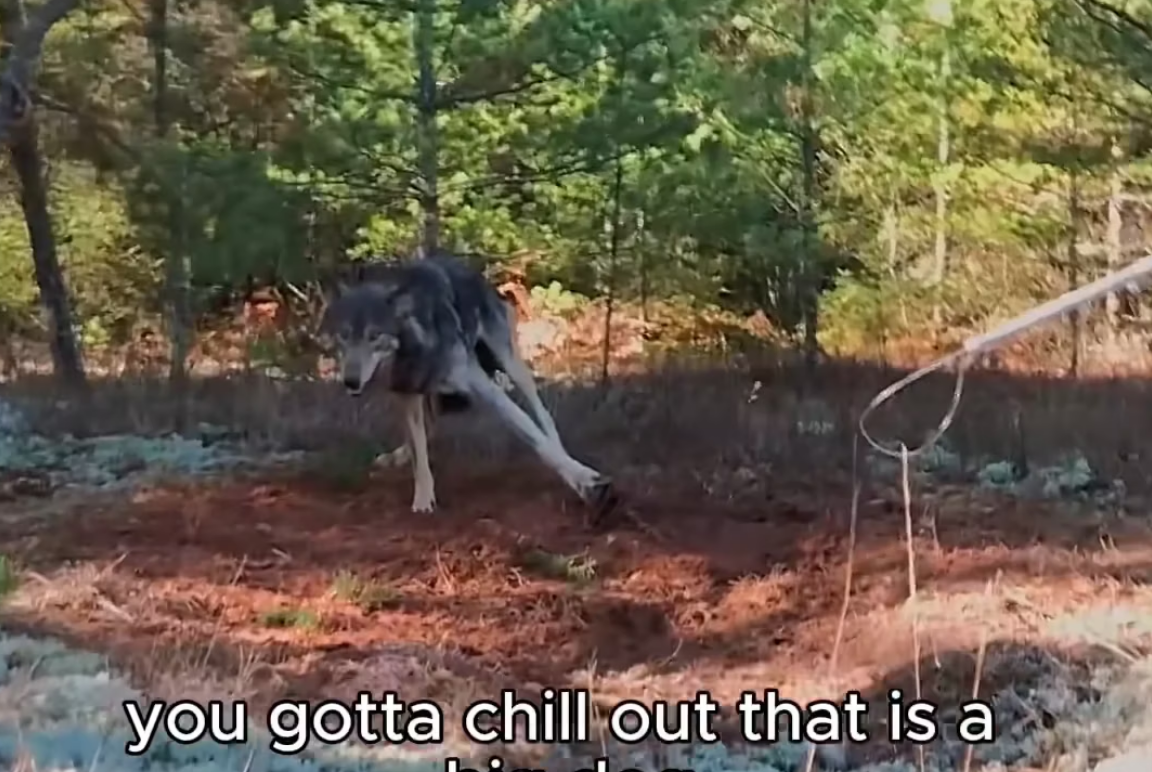 I0501008 Fear fades when love appears. (Part 2)