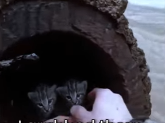 M0801004 A life saved today. (Part 2)