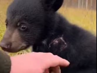 M0801007 Hope starts with one act. (Part 2)