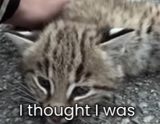 M0801002 Love arrived just in time. (Part 2)