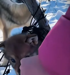 L0201012 NUNCA ignores a una madre desesperada (Parte 2)