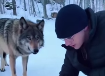 L0201011 Ahora está a salvo (Part 2)